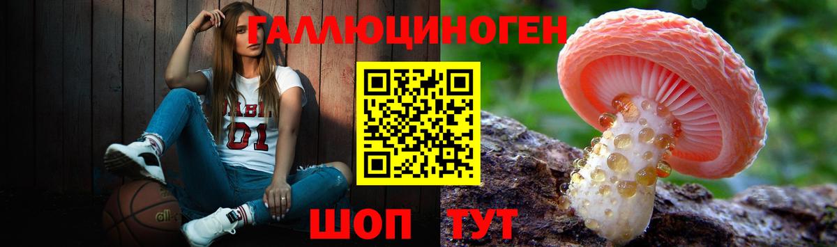 Галлюциногенные грибы Psilocybe Новочебоксарск